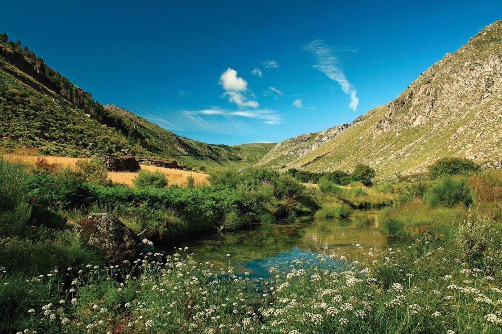 Quinta Da Estrela Villa Ponte Nova ภายนอก รูปภาพ